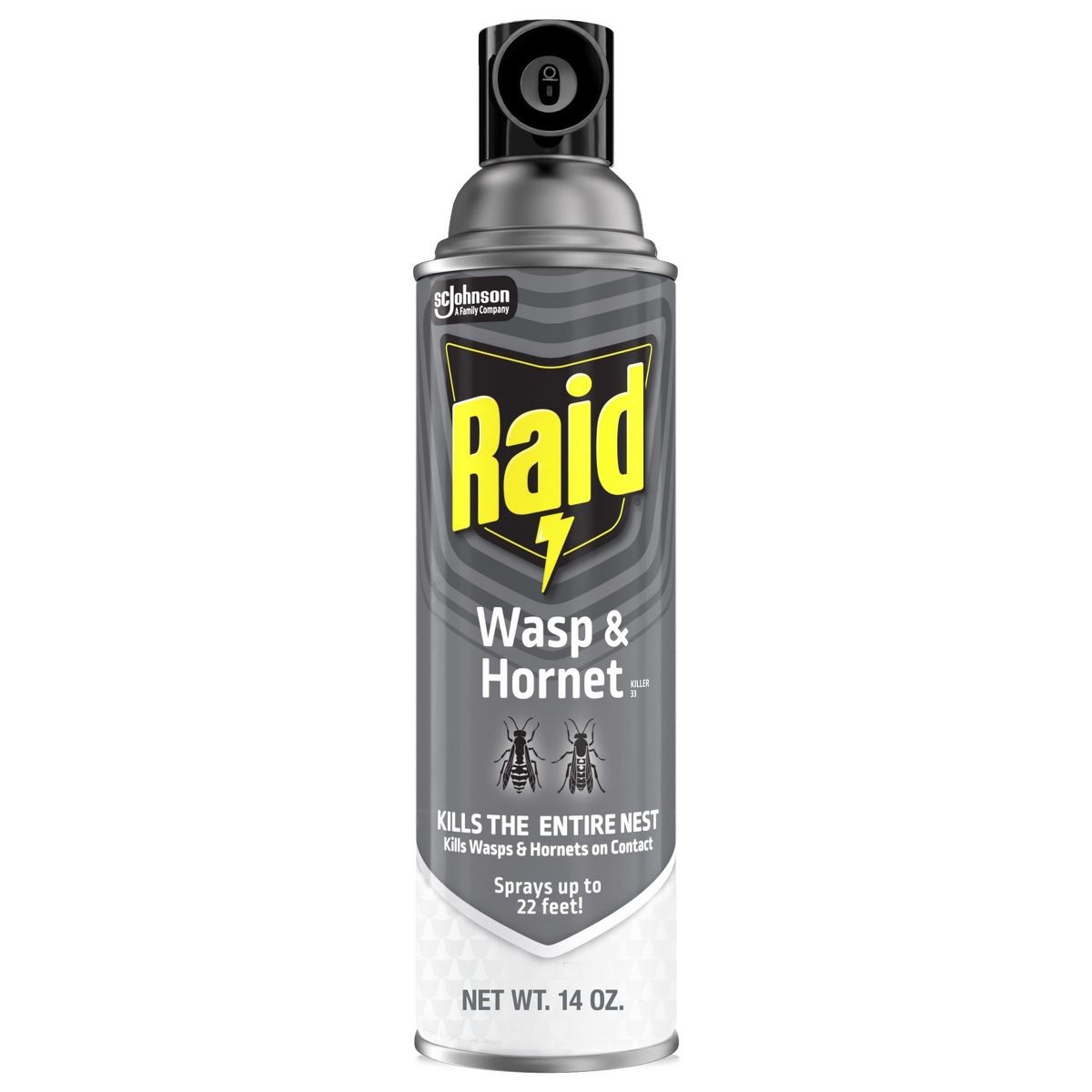 Raid Wasp and Hornet Aerosol Insecticides – 14oz