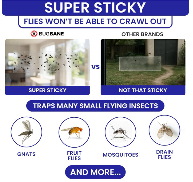 50 Pack Window Fly Traps Sticky Clear Non-Toxic Indoor Fruit Gnat Housefly Trap