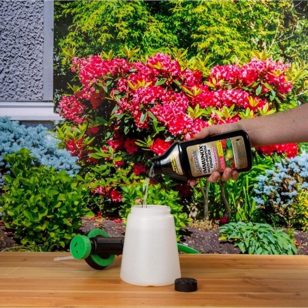 Spectracide Immunox Multi-Purpose Fungicide Spray Concentrate For Gardens 16 Oz