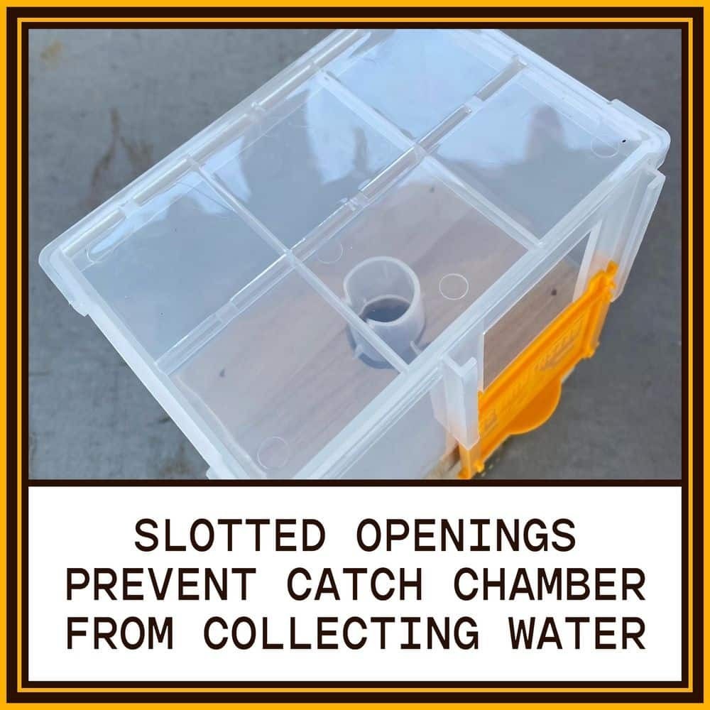 Bees N Things Outdoor Carpenter Bee Hanging Insect Trap with 15 ft. Coverage