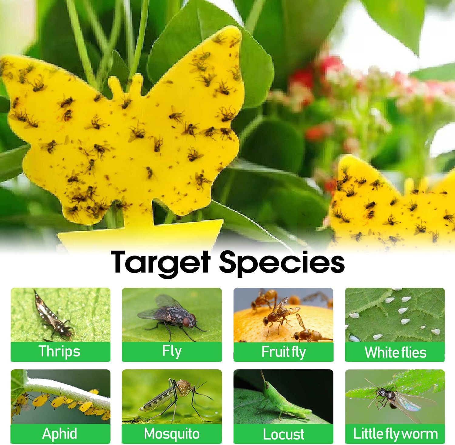58-Pack Yellow Sticky Traps for Gnats, Flies & Insects – Indoor/Outdoor