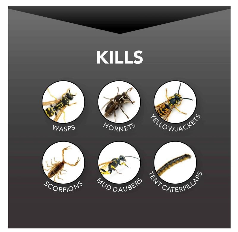 Eliminator Wasp and Hornet Killer3, 17 Ounce, 3 Pack…