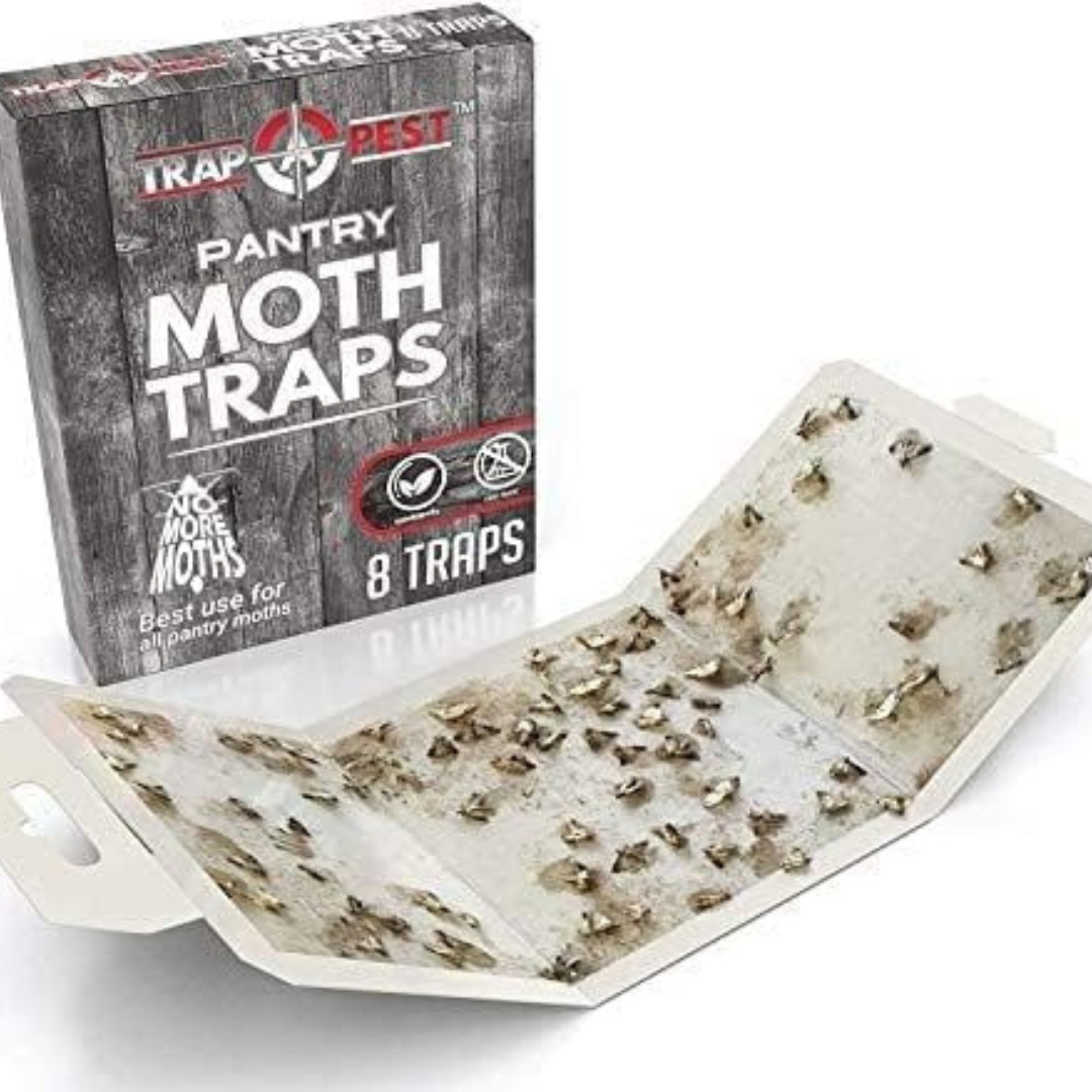 Pantry Moth Traps Safe Glue with Pheromones 8 Pack Effective Adhesive Non Toxic