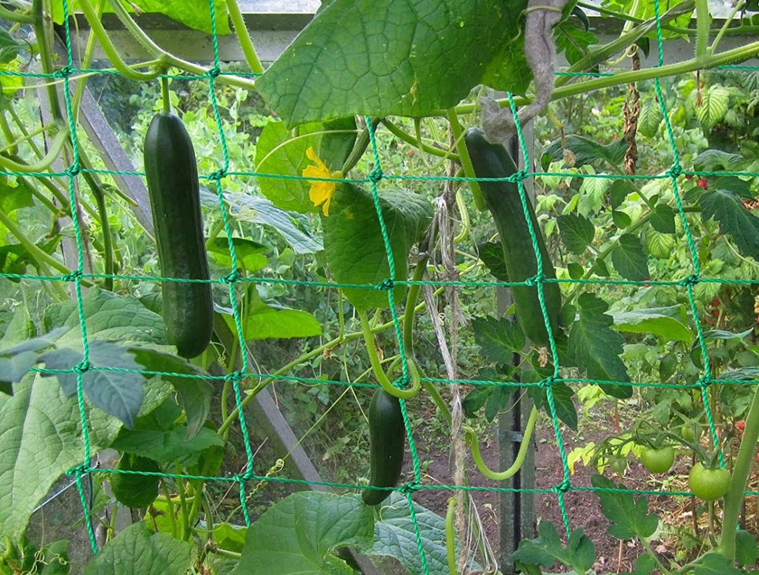 1 PCS Garden Trellis Netting Climbing Plants 24.6×6.6 Ft Vine Tomato Support