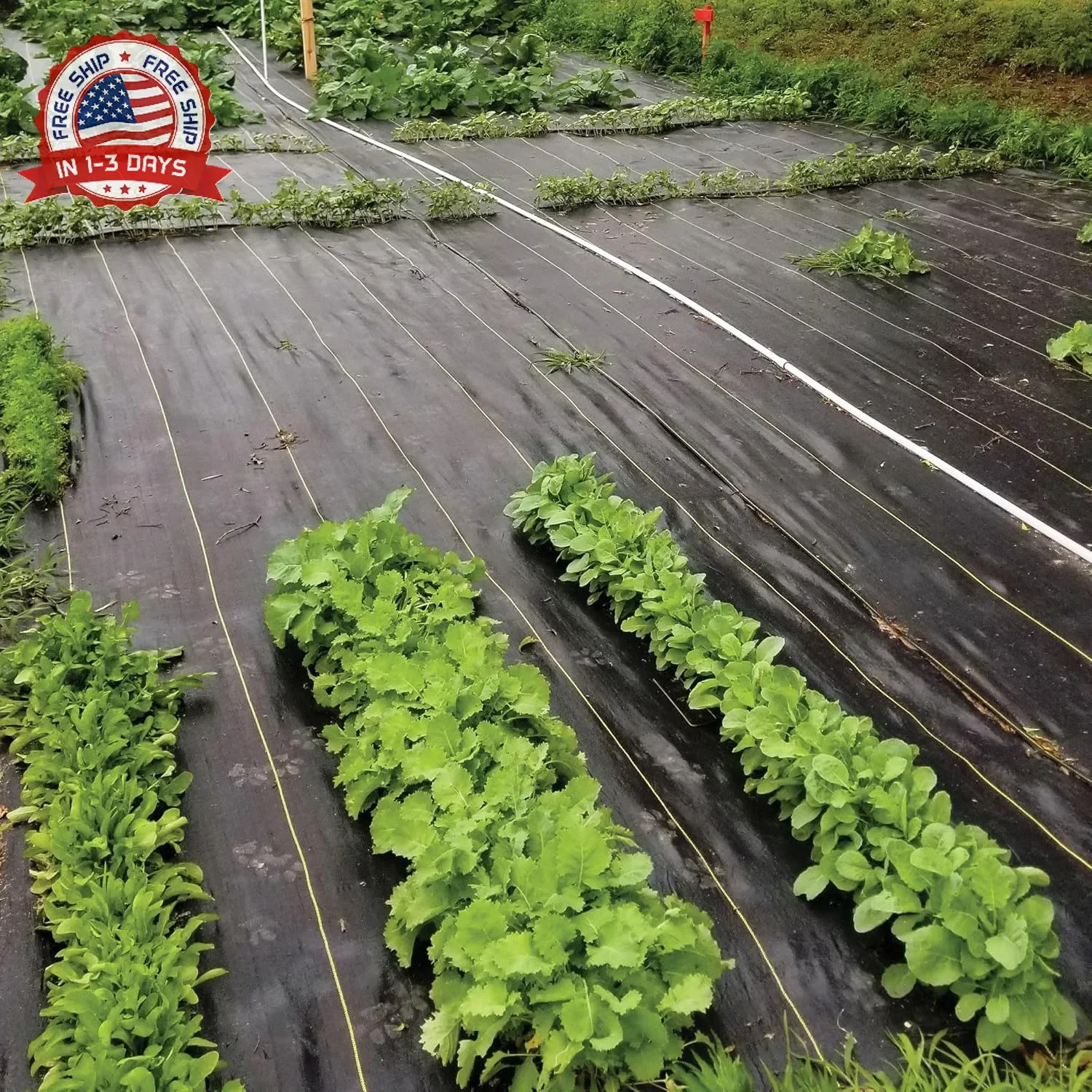Dewitt Sunbelt Weed Barrier Fabric 3.2 oz, 6 x 300 Feet – Heavy-Duty Ground Cove
