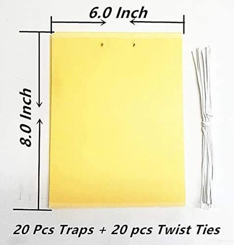20 PACK Garden Sticky Traps Cucumber Beetle Trap Fruit Fly Trap Fly 6″X8″ Paper