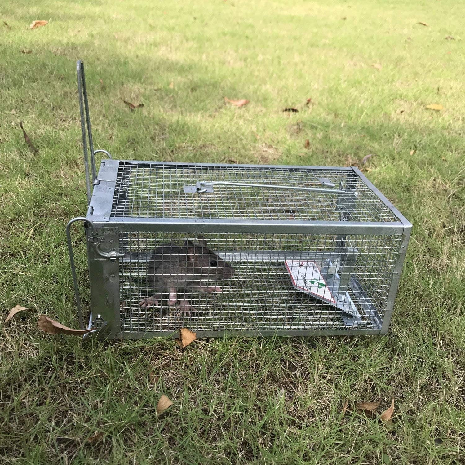 Durable Live Trap for Rats and Mice – Efficient Trigger, Modern Aluminum Finish