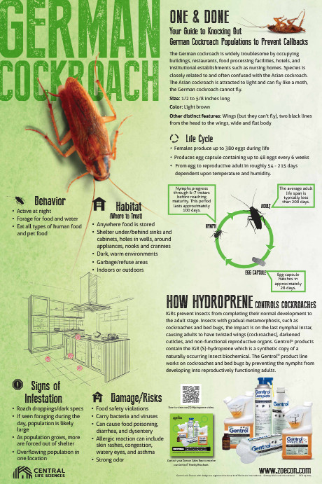 16 oz Gentrol IGR Insect Growth Regulator AEROSOL Drain Fruit Fly Roach Control