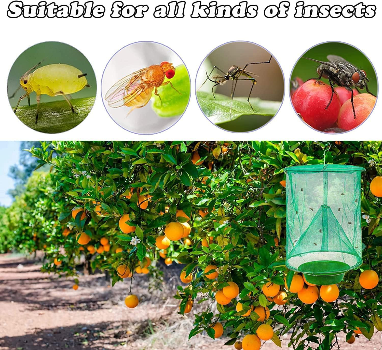 4 Pcs The Ranch Fly Trap Outdoor Fly Trap Killer Bug Net Cage Perfect for Horses