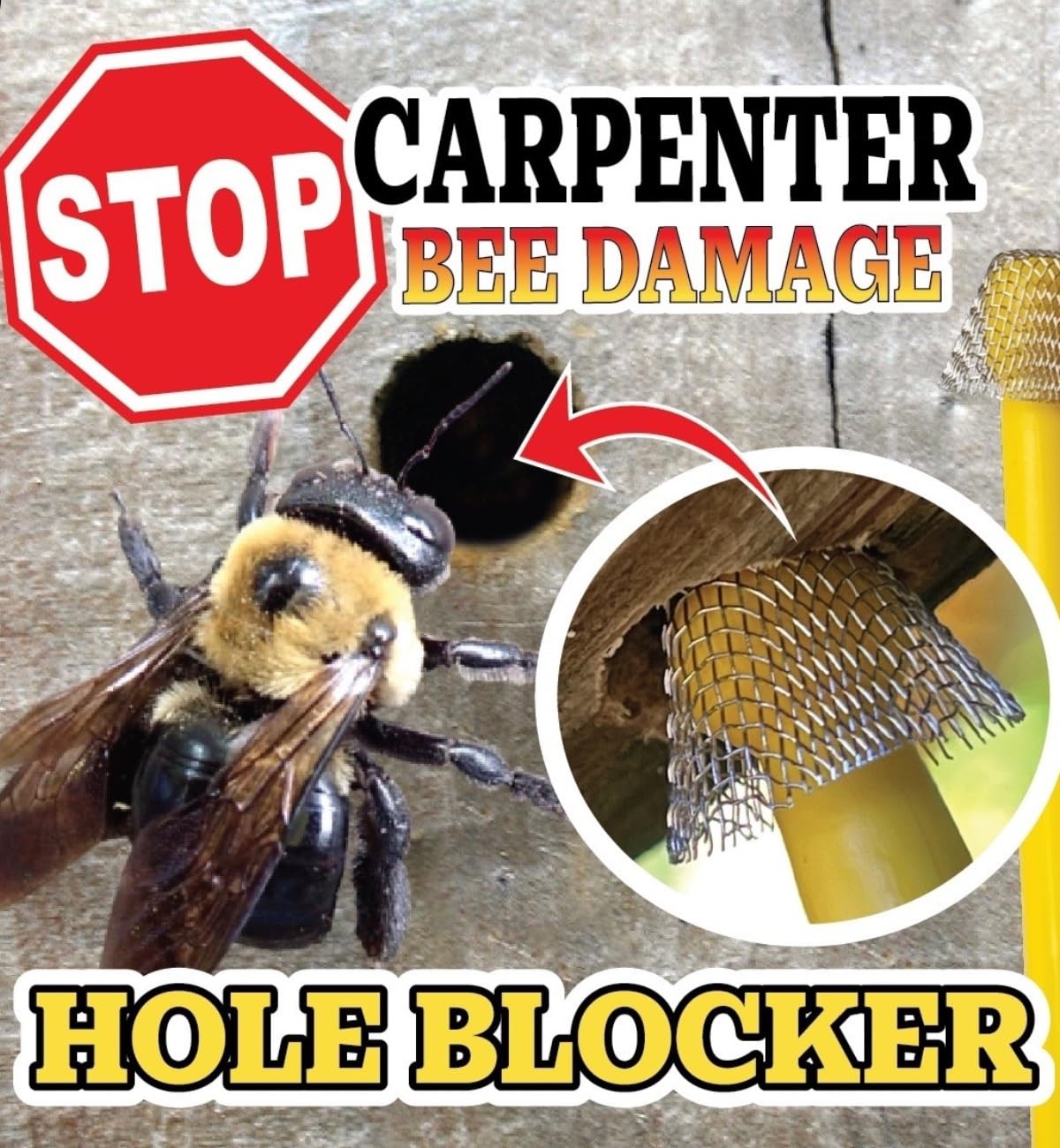 Patented Carpenter Bee Traps for Outside – 304 Stainless Steel 30 Count Hole …