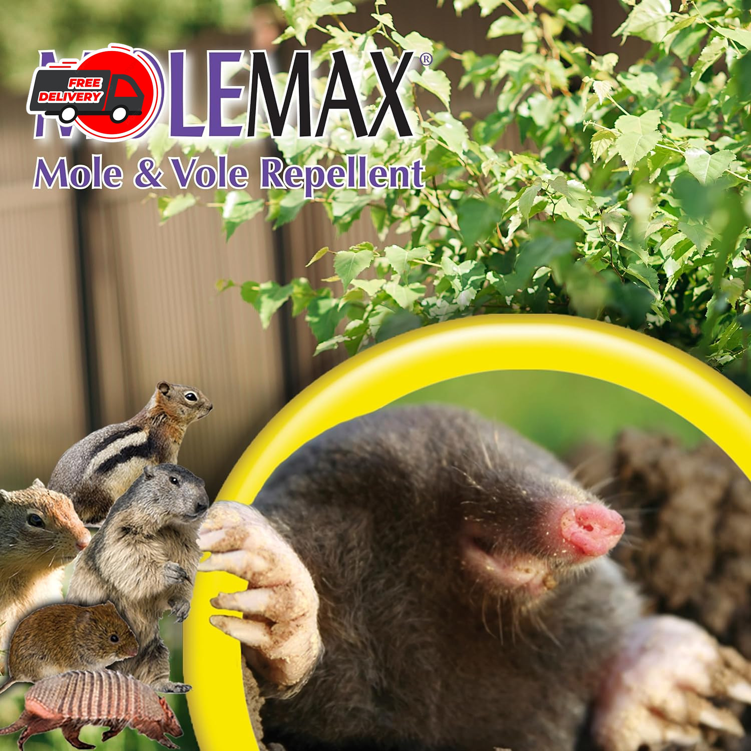 Bonide MOLEMAX Mole & Vole Repellent Granules, 10 Lbs. Ready-To-Use, Outdoor Law