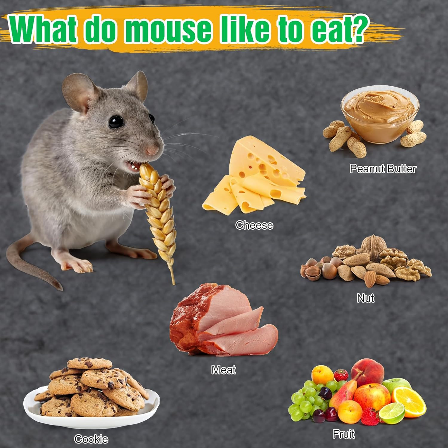 4 Pcs Humane Mouse Traps No Kill, Live Mouse Trap, Reusable Mice Trap Catch for