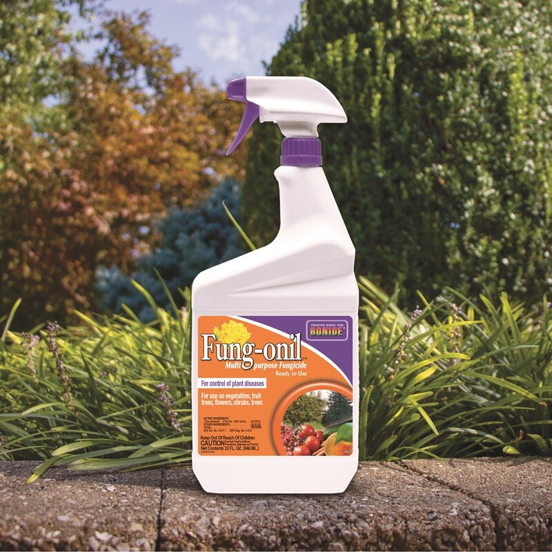 Bonide Fung-onil Fungonil 8836 32 oz Ready to Use Multi Purpose Garden Fungicide