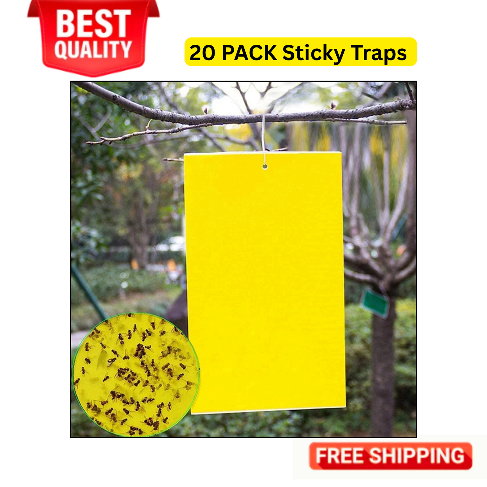 20 PACK Garden Sticky Traps Cucumber Beetle Trap Fruit Fly Trap Fly 6″X8″ Paper