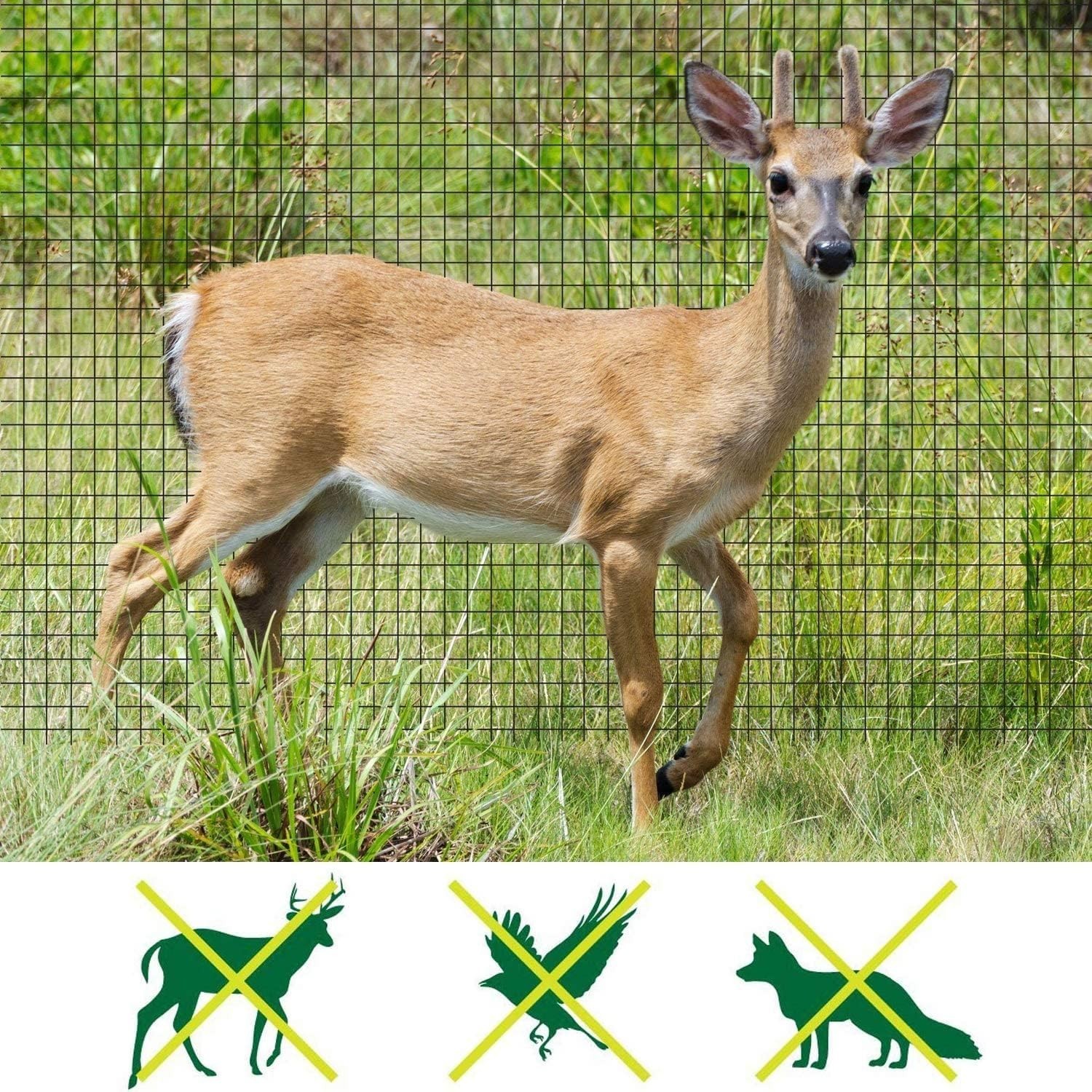 7x100ft Deer Fence Netting – Heavy Duty Polypropylene Garden Protection Net