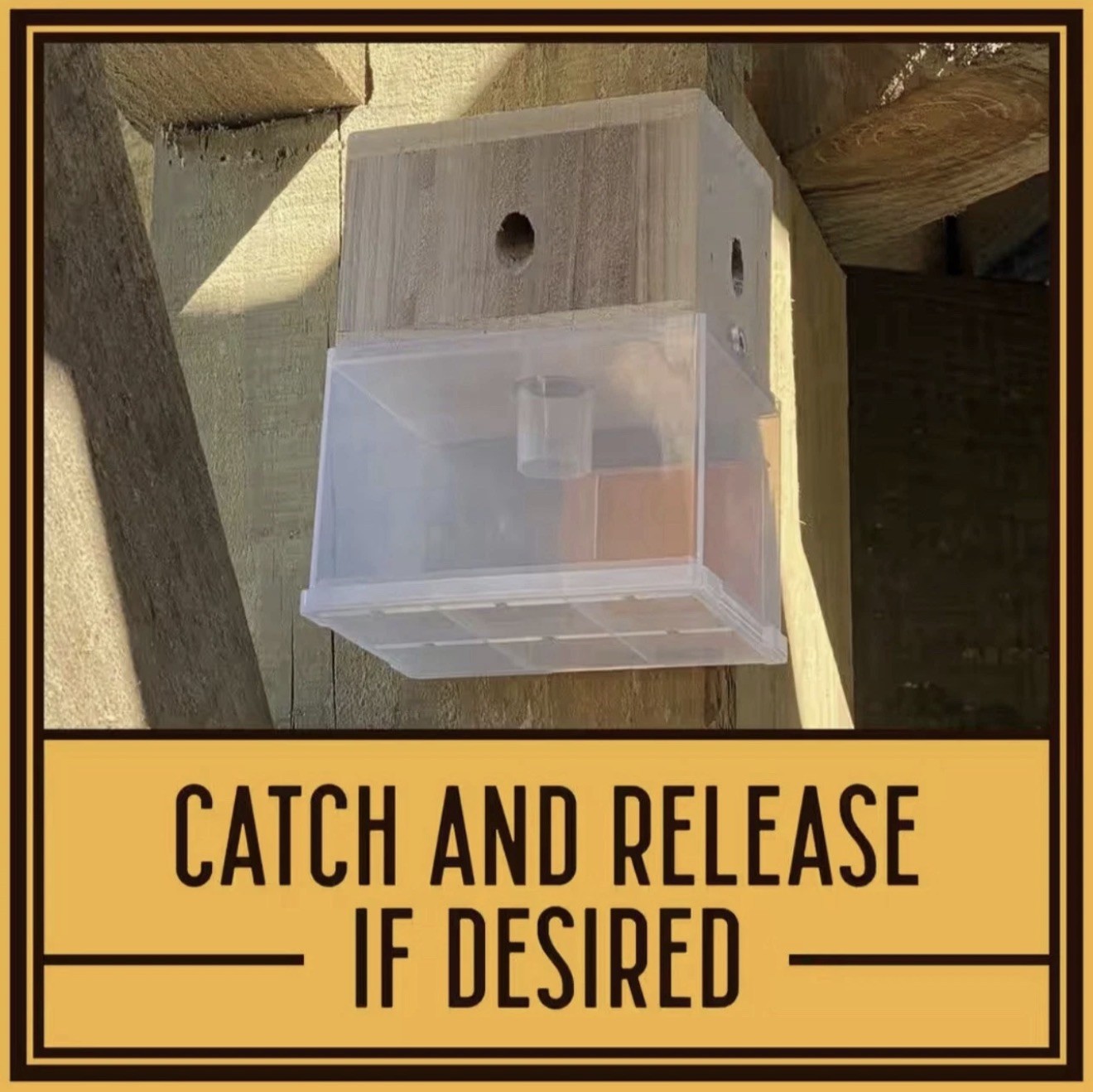 BEES N THINGS Carpenter Bee Trap 5 Pack Outdoor Wood Pest Control Catcher NEW