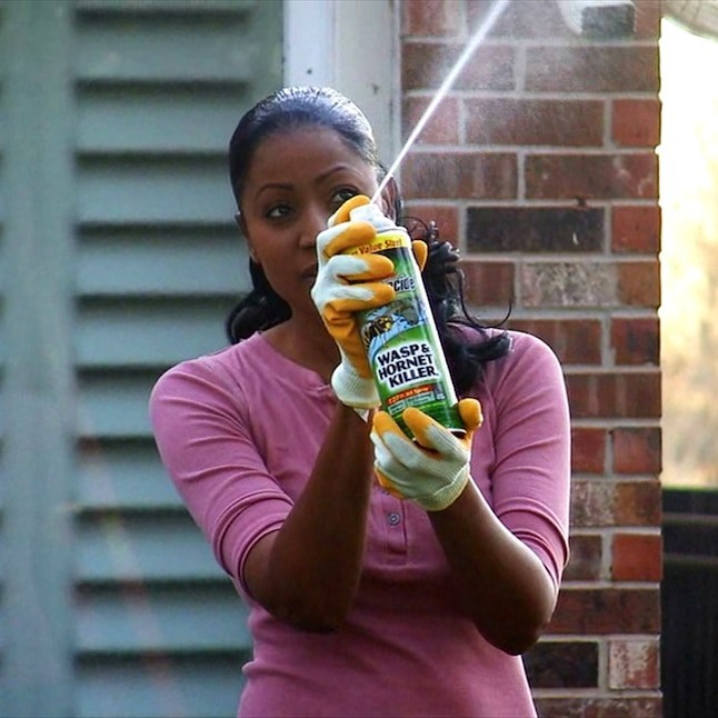 18.5 oz. Wasp and Hornet Killer Aerosol Spray (2-Count)