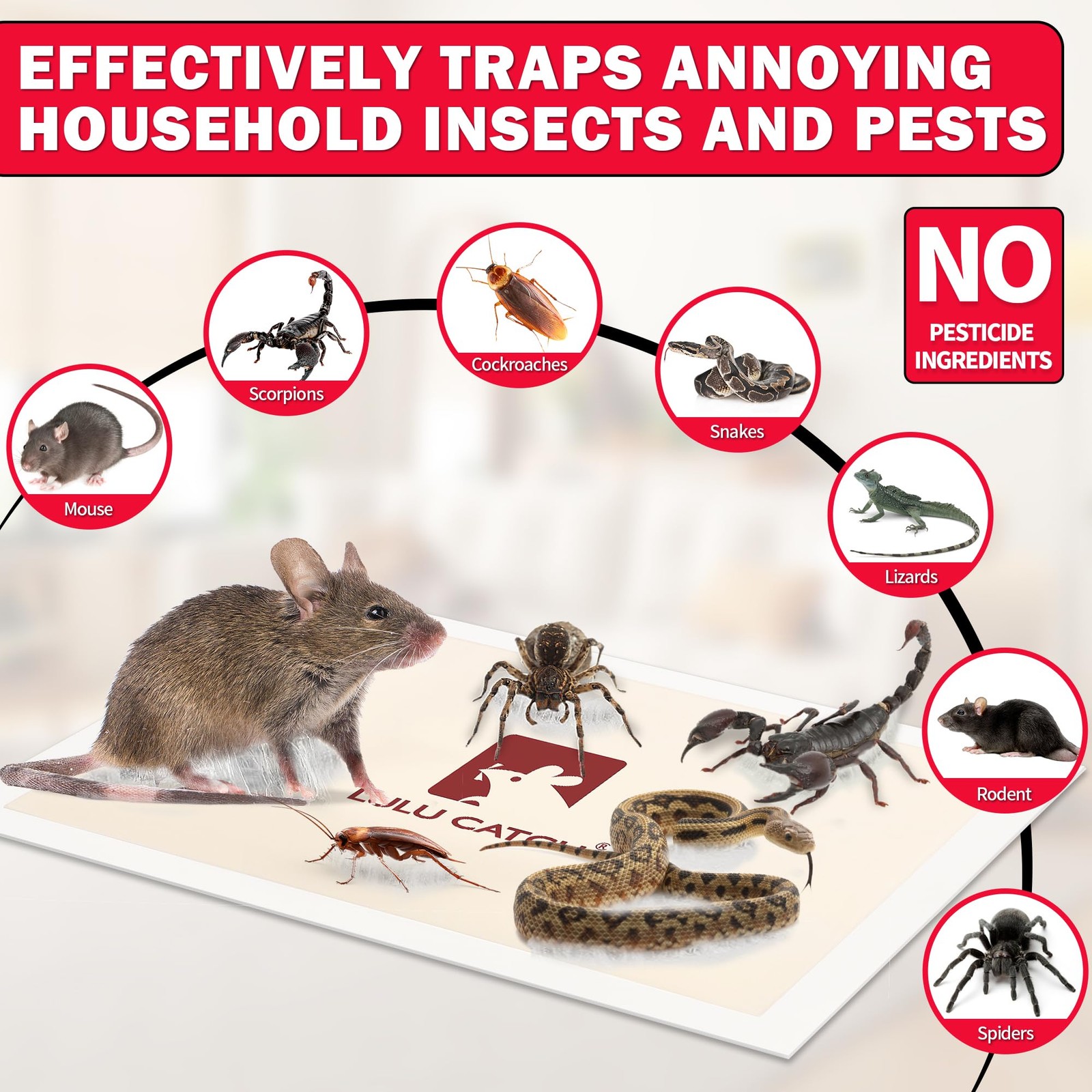 LULUCATCH Mouse Traps Indoor for Home, 12 Pack Pre-Baited Sticky Mouse Traps,…