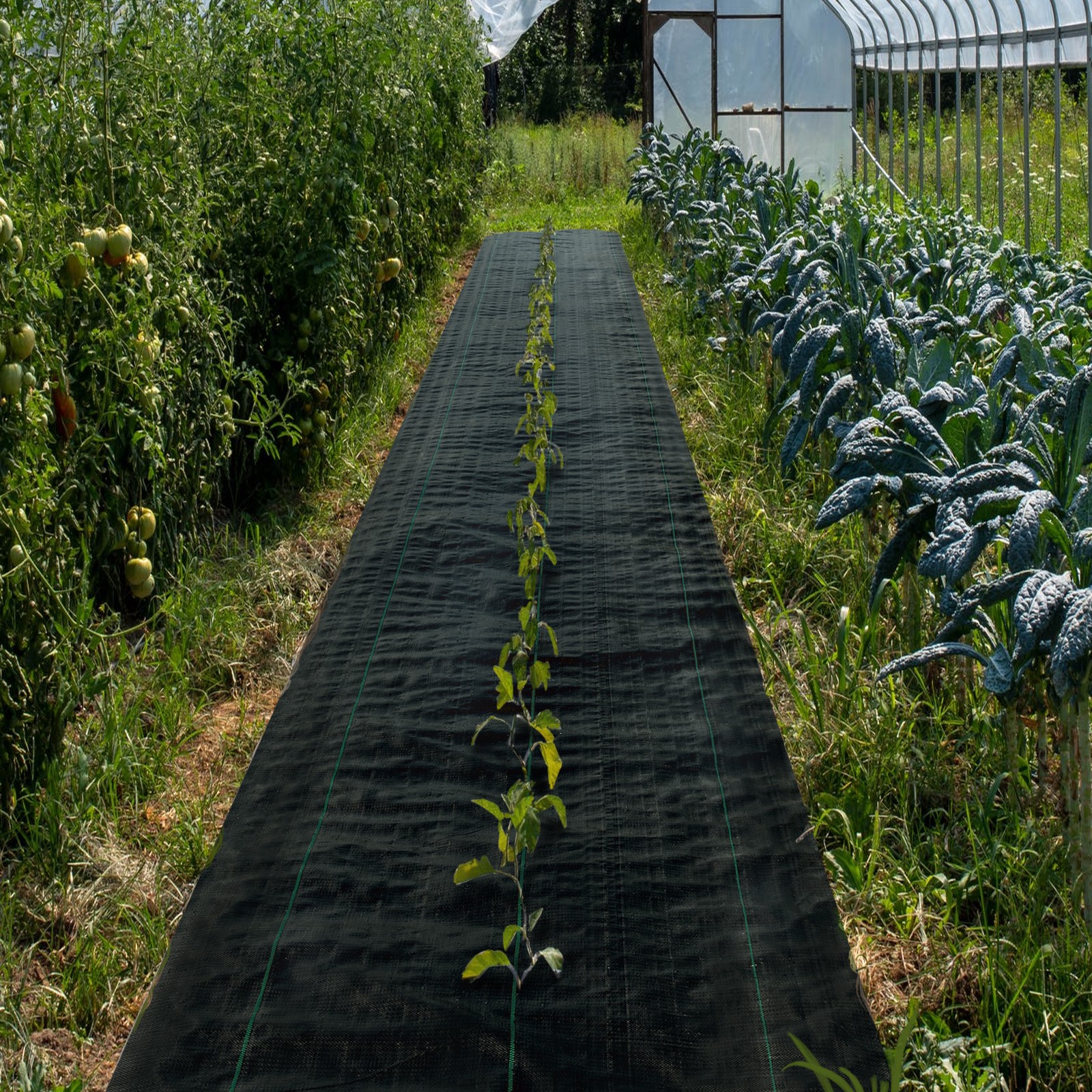 VEVOR 3′ x 300′ Woven Weed Barrier Landscape Fabric Ground Cover Black 5.8oz