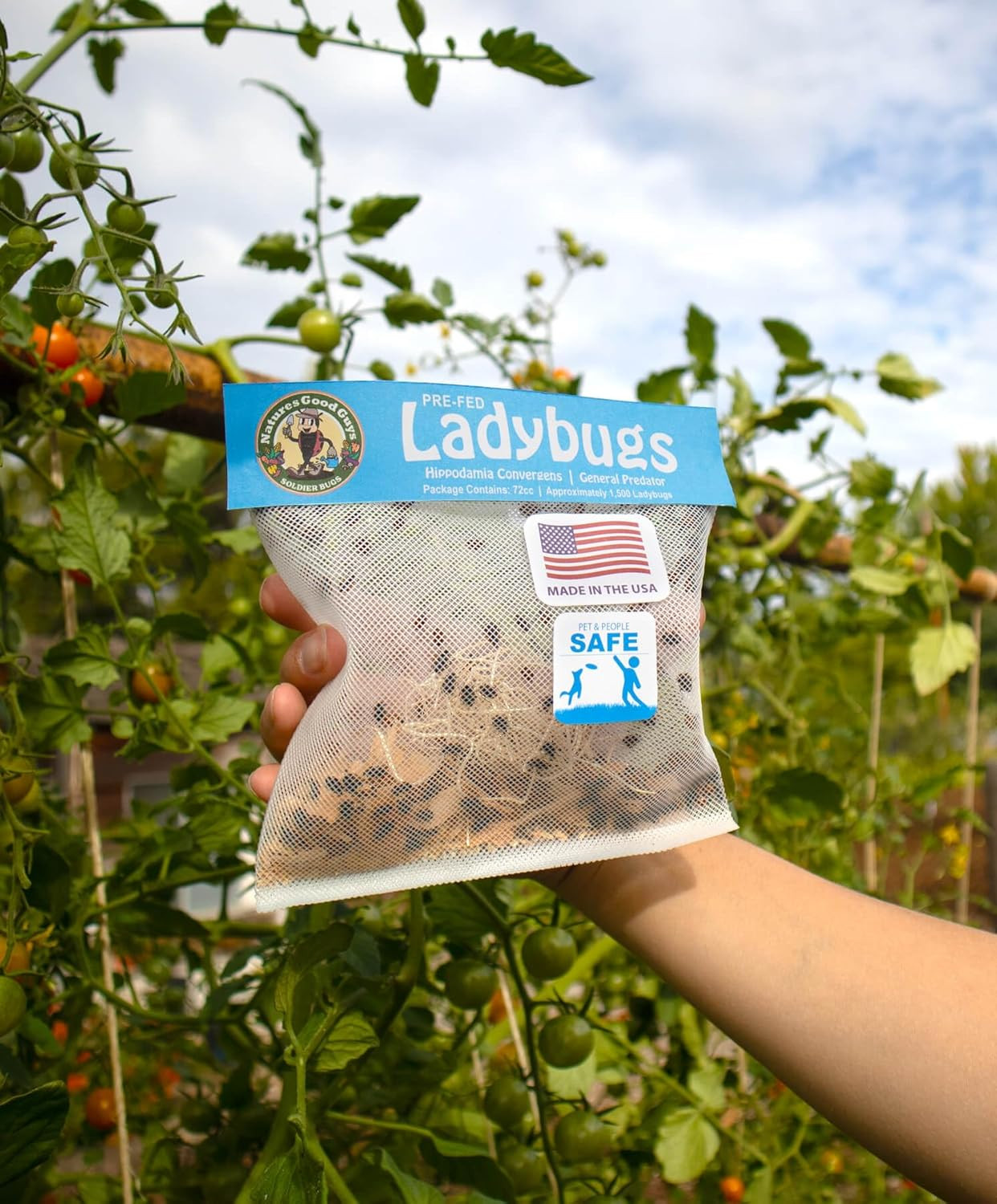 Natures Good Guys 1500 Live Ladybugs – Good Bugs- Ladybugs – Guaranteed Live Del