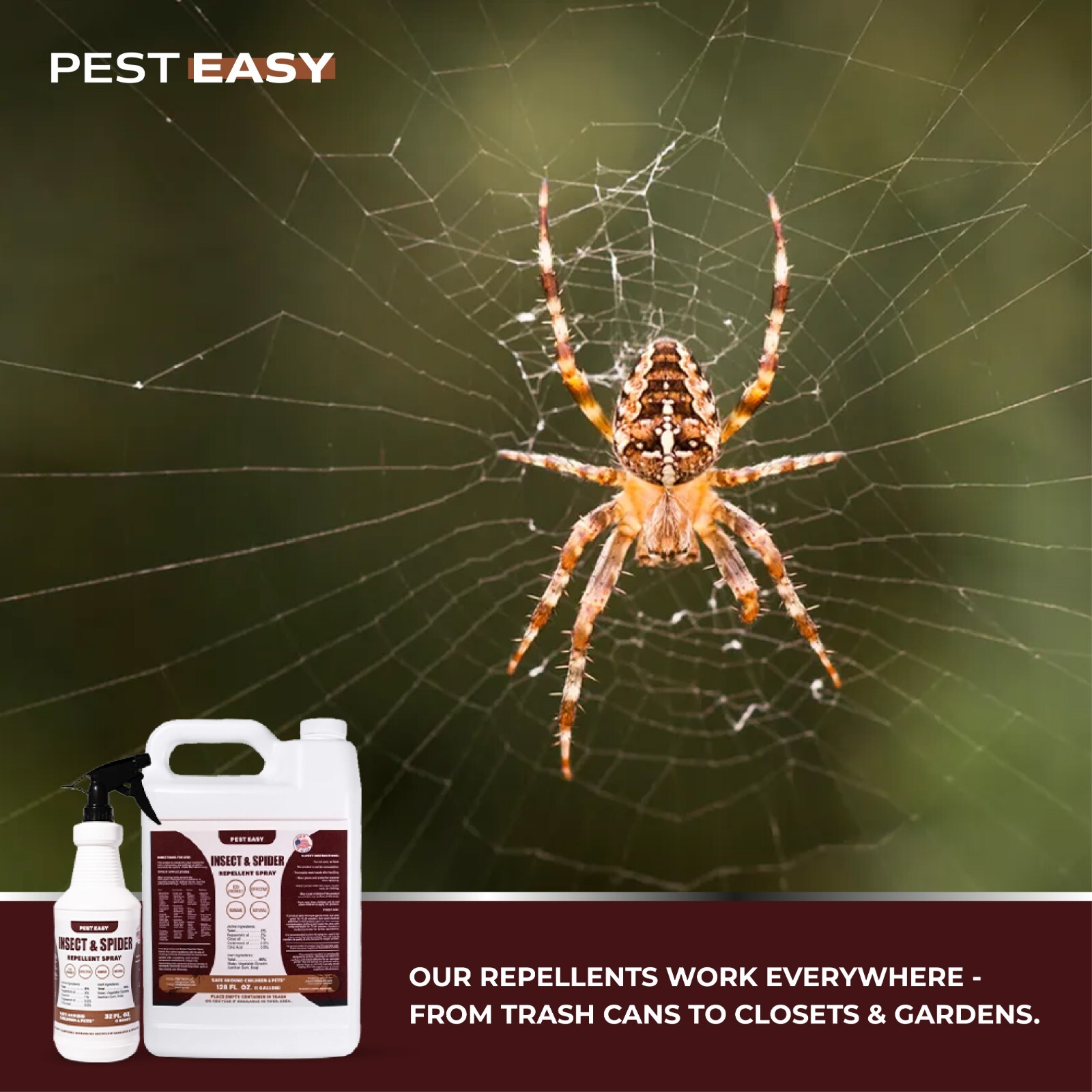 EASY Spider & Insect Mist, Natural Deterrent Safe for Home, Pets 16oz.
