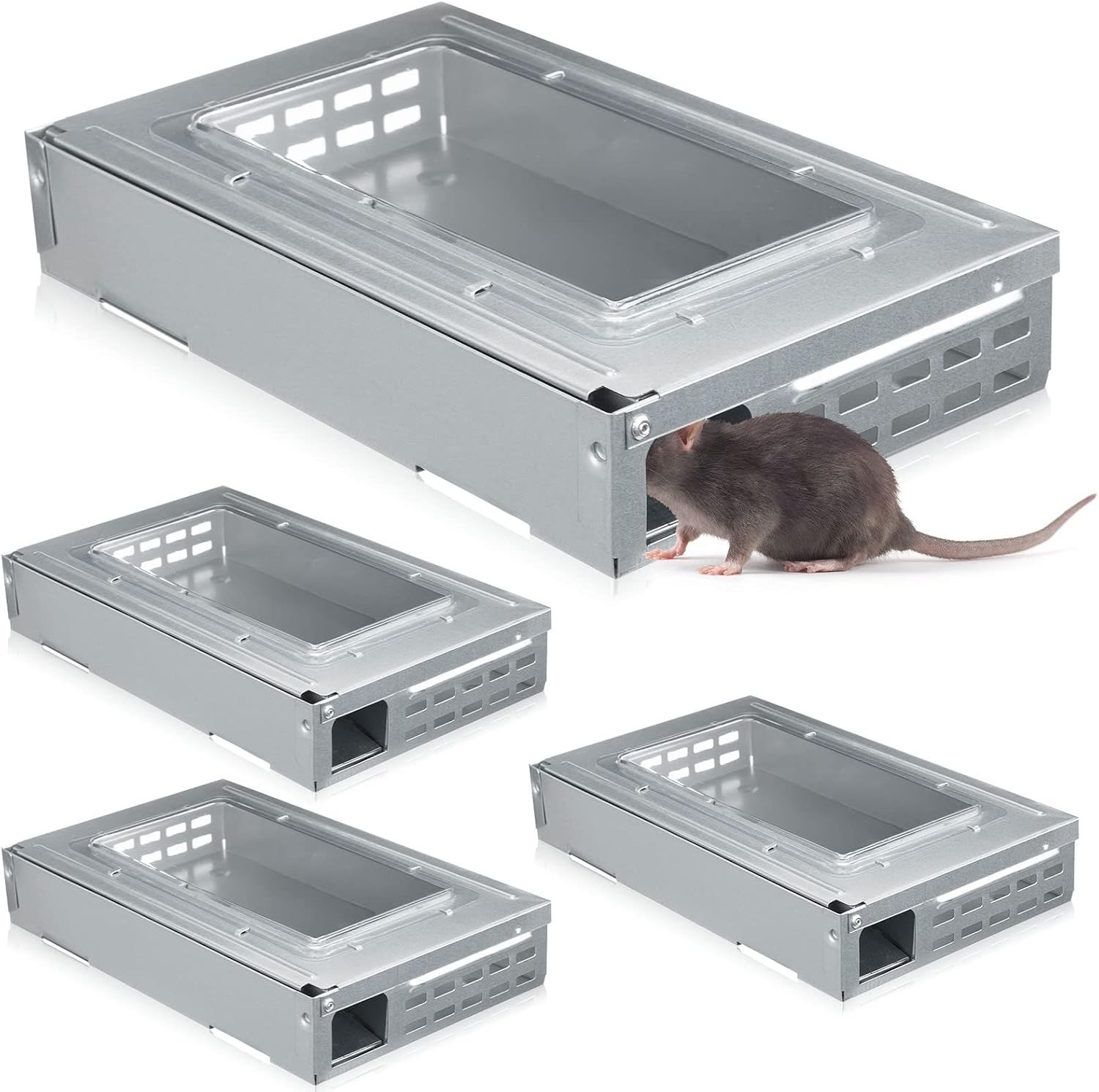 4 Pack Clear Top Mouse Traps – Indoor Outdoor Rodent Control
