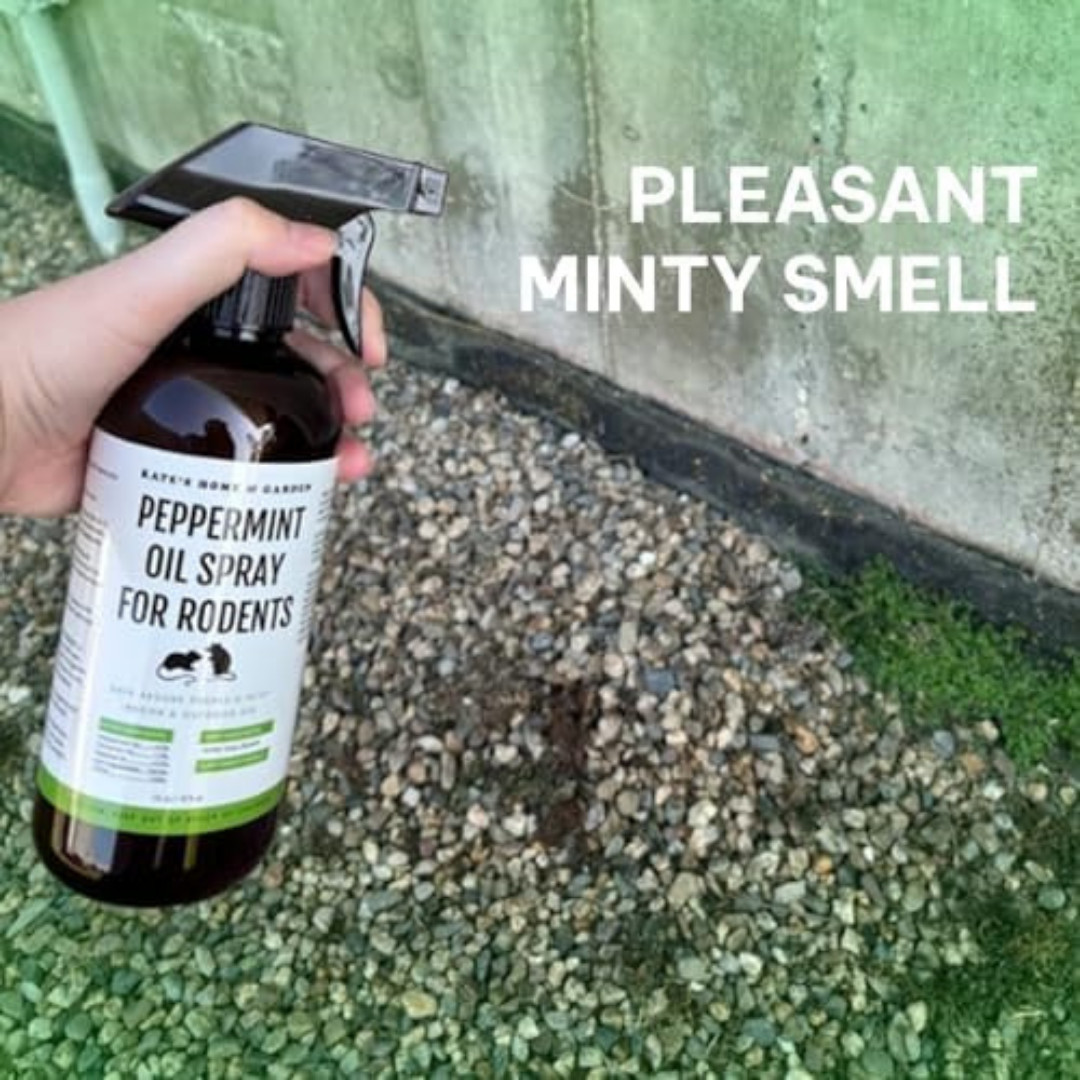 Peppermint Oil Spray, for Rodents Mice Raccoon Bat and, Squirrels Rodent Repelle