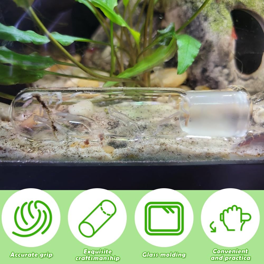 2 Pack Clear Glass Planaria Trap Catch Trap Aquarium Cleaning Supply for Dwarf S