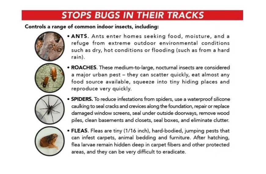 Eliminator Ant, Roach & Spider Killer4, Aerosol Spray, 2/20-Ounce
