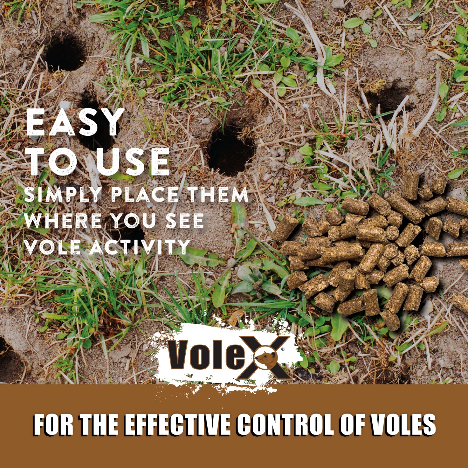 VoleX® – Kills All Species of Voles – Safe for Use Around People and Pets