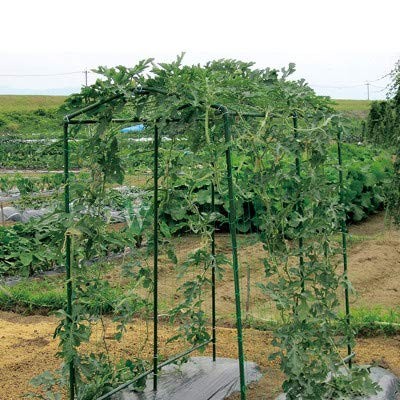 Green Garden Trellis Netting 5×100 ft Heavy Duty Polypropylene Plant Support …