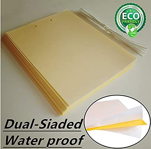 20 PACK Garden Sticky Traps Cucumber Beetle Trap Fruit Fly Trap Fly 6×8 Papers