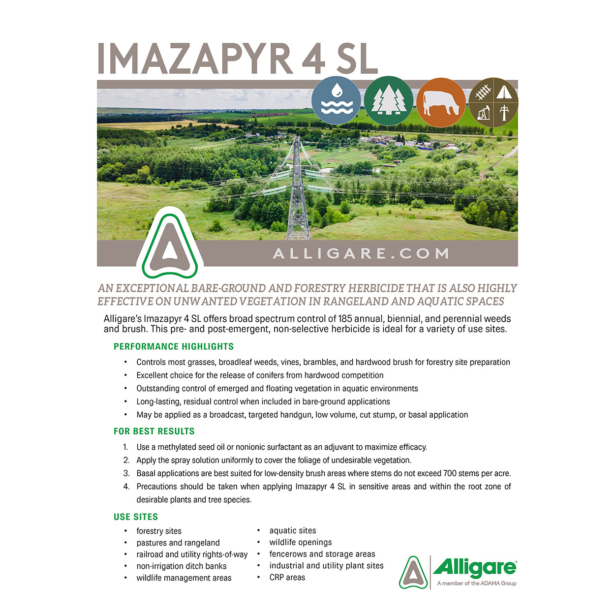 Imazapyr 4SL Herbicide Broad-Spectrum Weed & Grass Control 32 fl oz by Alligare