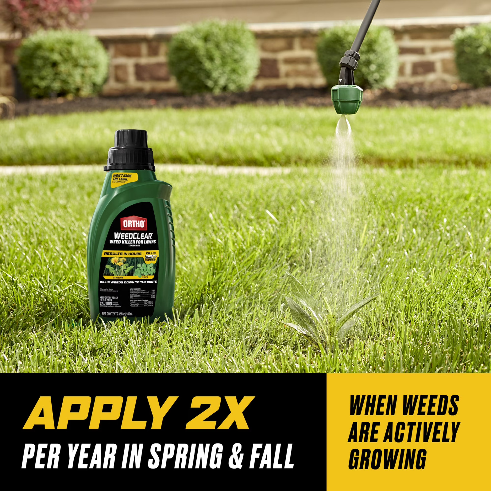 Ortho WeedClear Weed Killer for Lawns Concentrate 32 fl oz Dandelion Control
