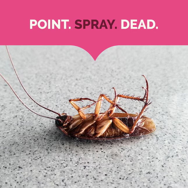 Hot Shot Value Size Ant, Roach Spider Killer 20 -fl oz Ready to use Insect kill