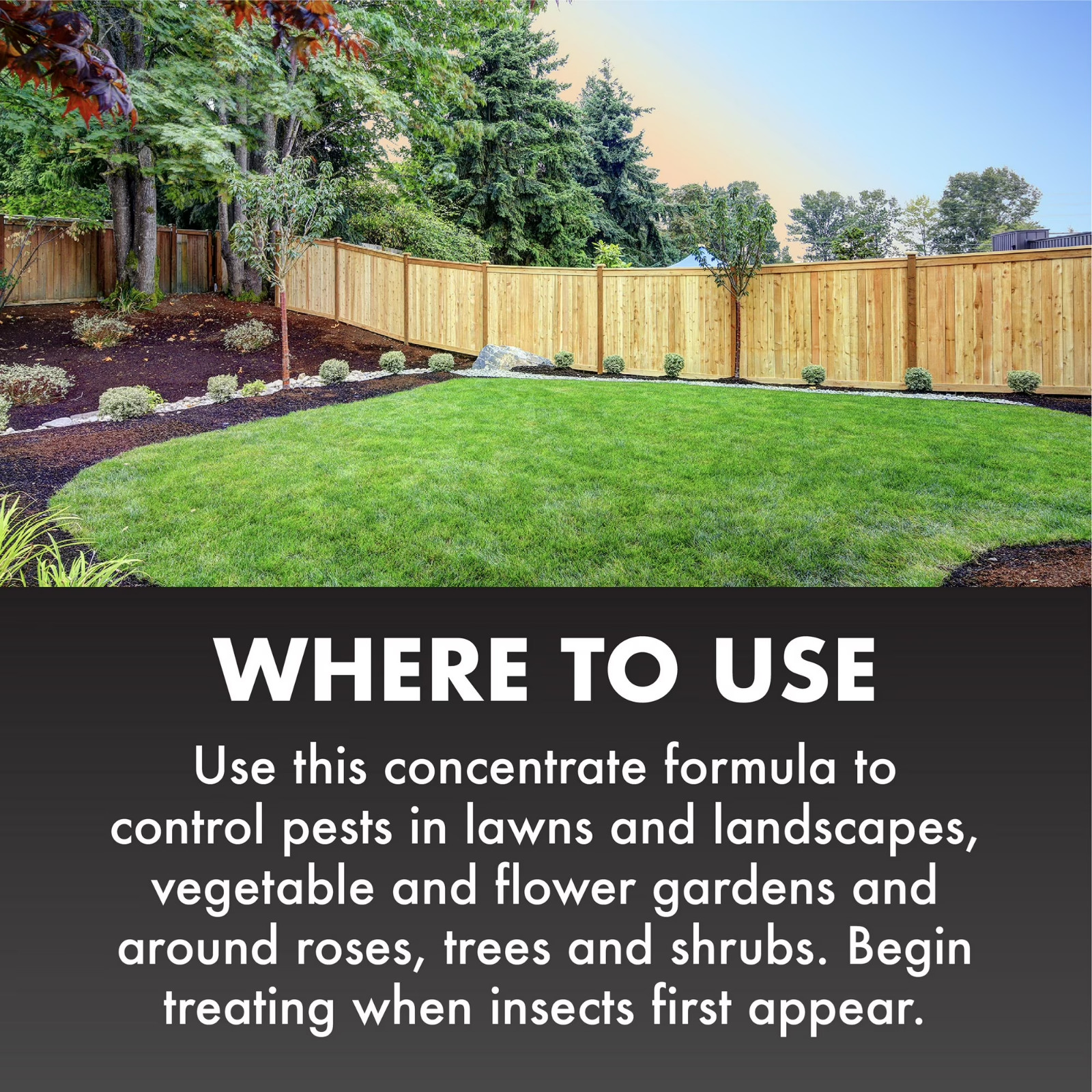 Lawn Insect Killer Spray Ready-to-Use Concentrate Controls Outdoor Pests 32 oz