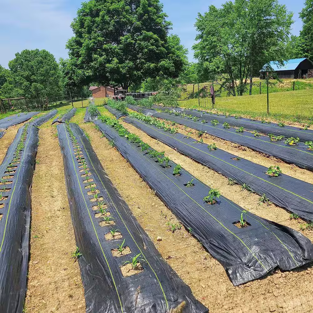 6 Ft. X 300 Ft. Polypropylene Premium Weed Control Landscape Fabric, Woven Weed