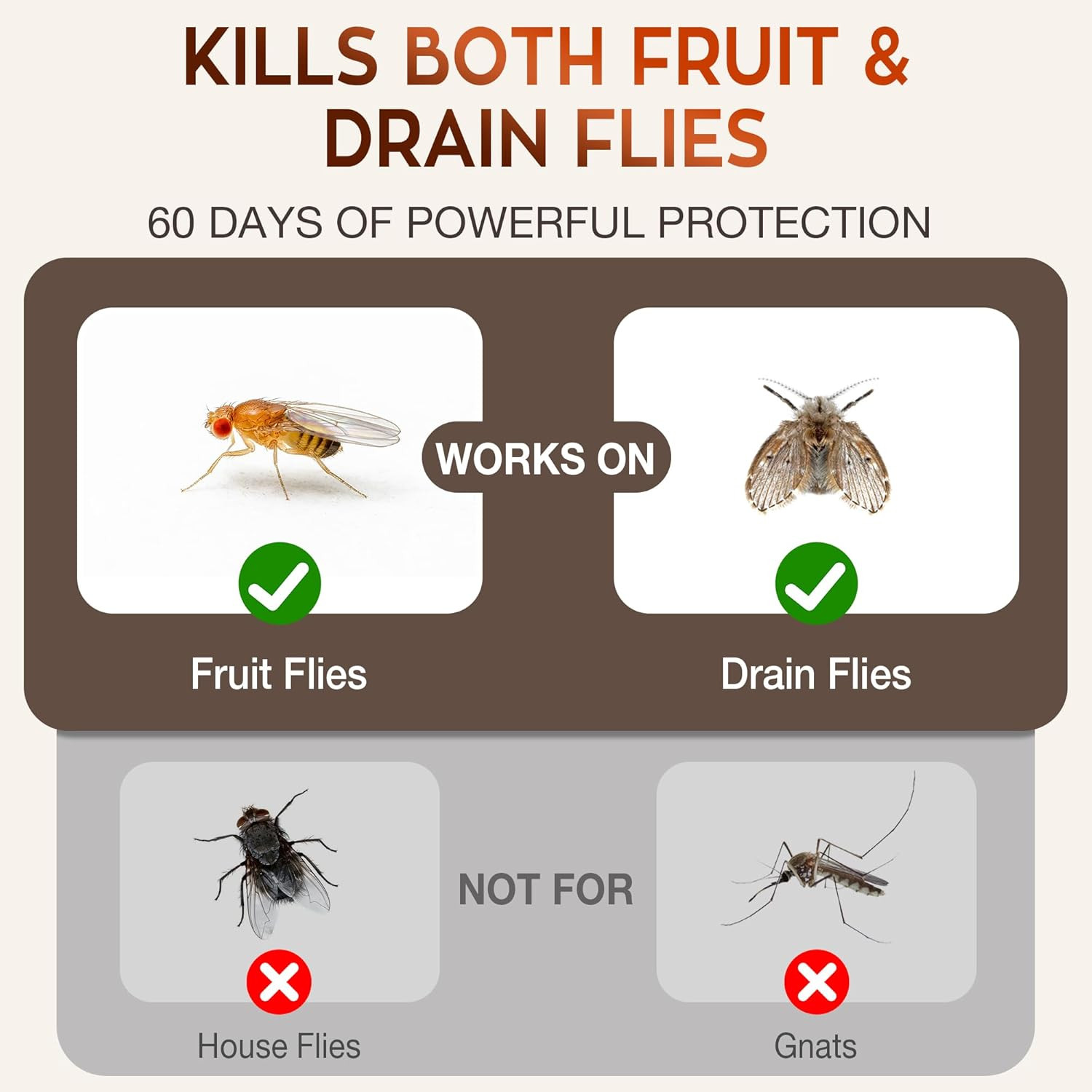 Fruit Fly Trap Refills for Indoors Killer: Fruit Fly and Drain Fly Killer Ind…