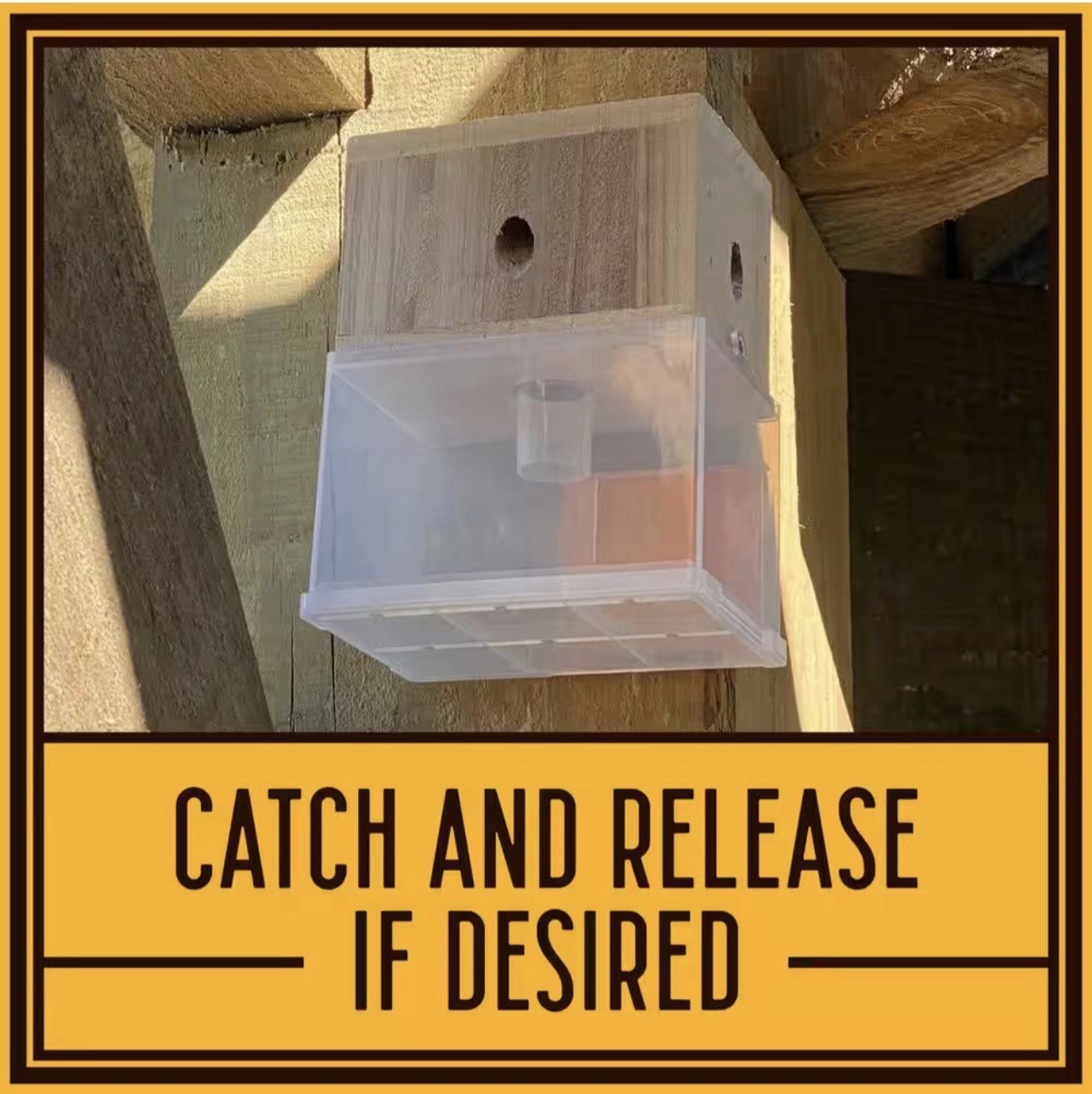 New Bees ‘N Things Outdoor Carpenter Bee Traps – Lot of 6