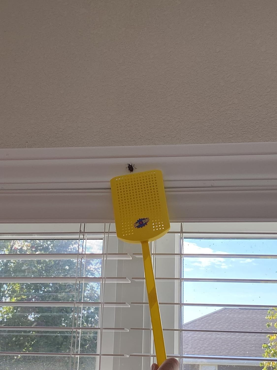 Heavy Duty Fly Swatter and Spider Catcher and Release, Insect Fly Catchers