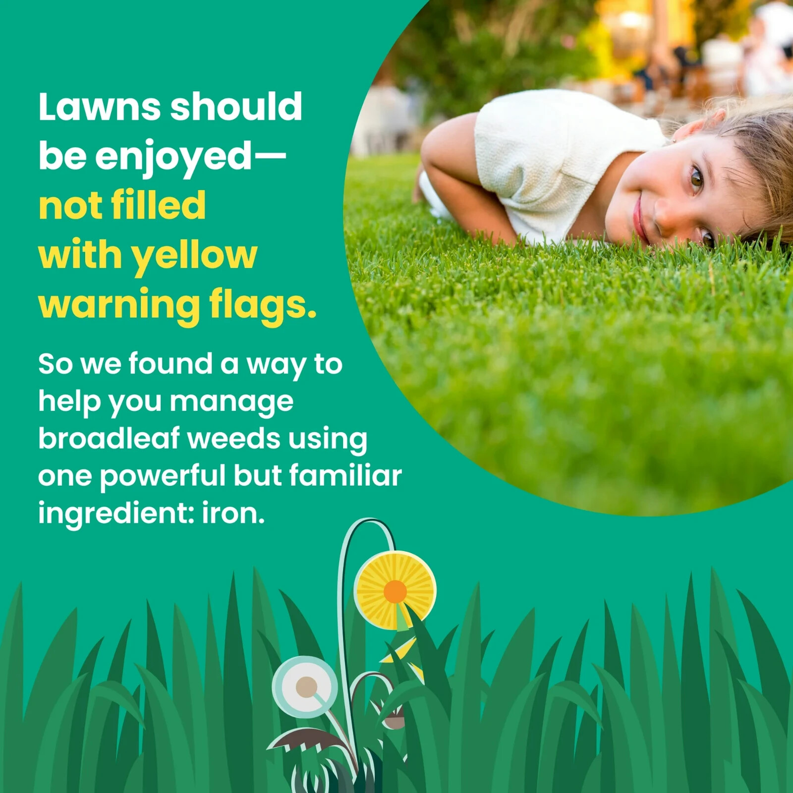 SUNDAY Dandelion Doom Herbicide Spot Treatment – Kills Weed Not Lawns! – NEW!