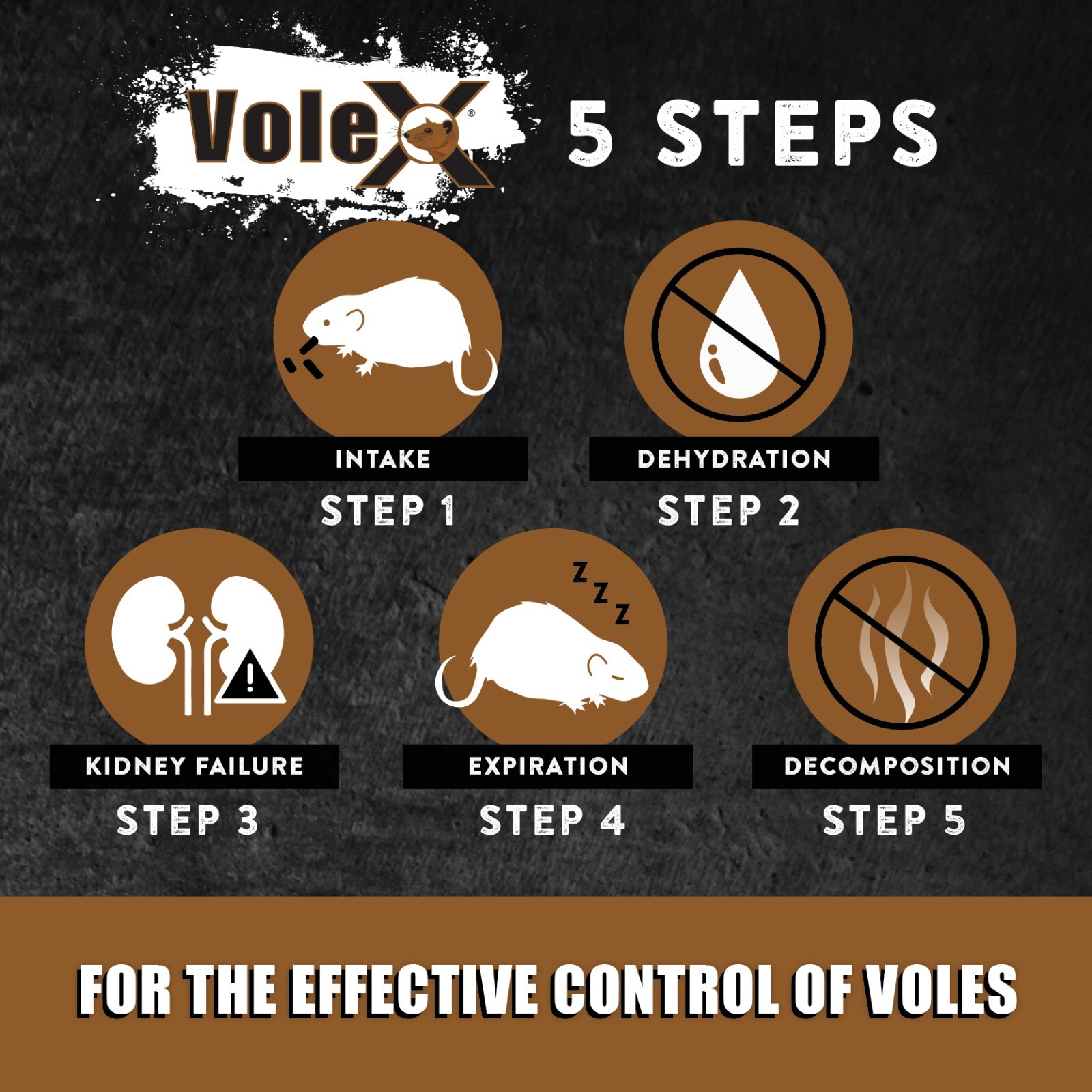 VoleX® – Kills All Species of Voles – Safe for Use Around People and Pets