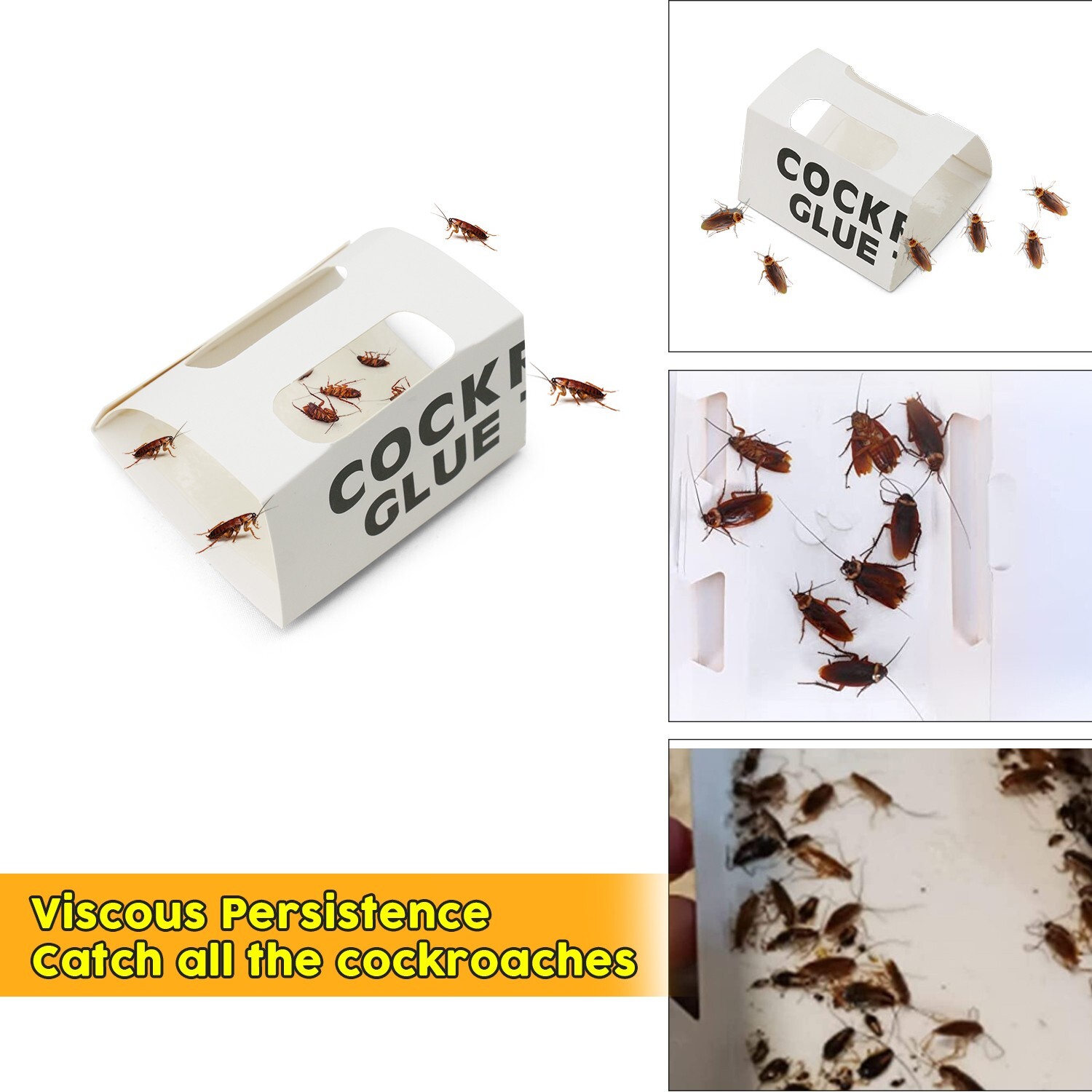 36 Pcs Indoor Roach Traps Cockroach Bug Pest Killer Bait Glue Traps Spider Motel