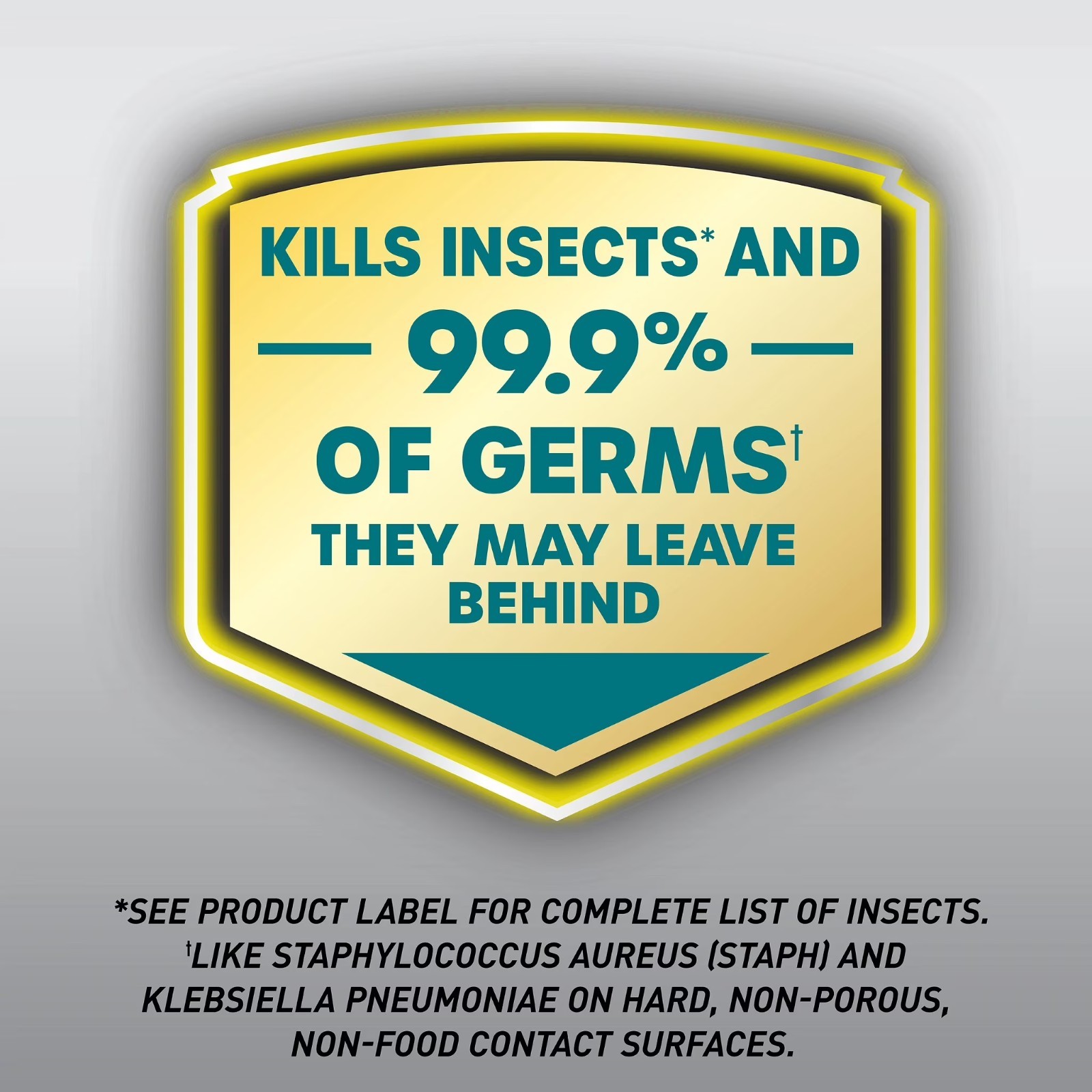 (2 PACK) Ortho Home Defense Max Bed Bug Killer Spray 18oz Each – NEW