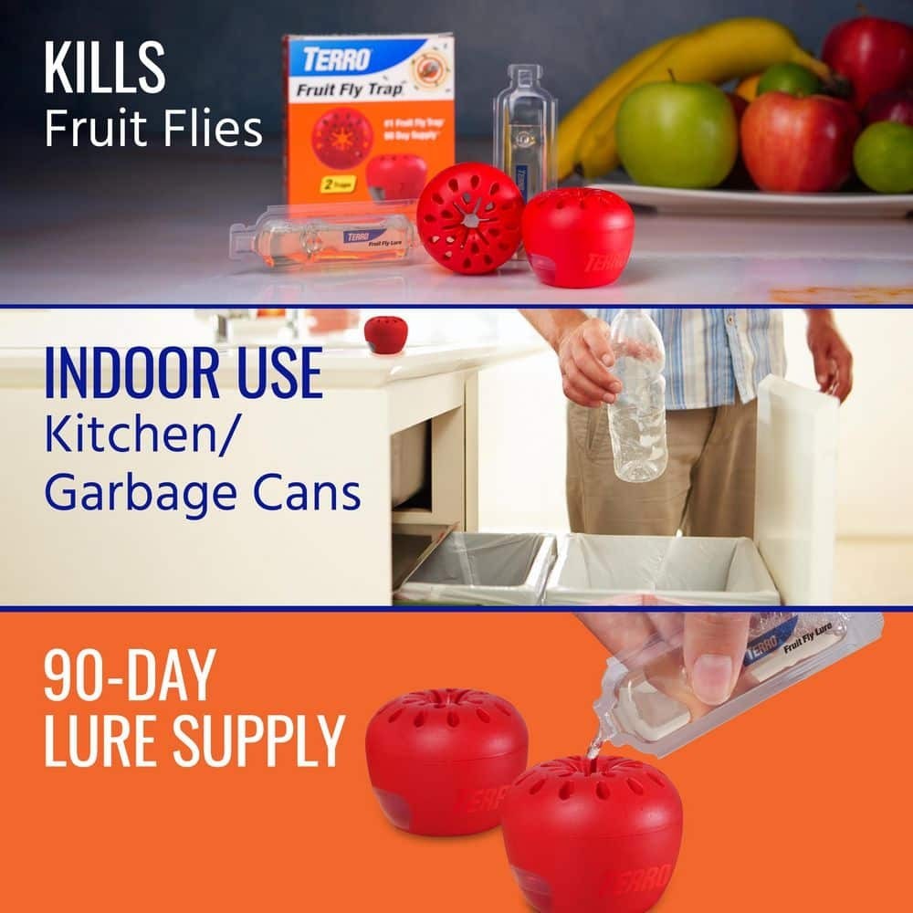 Indoor Fruit Fly Trap, (2-count) , Terro Traps, In Built With Window Sinks…