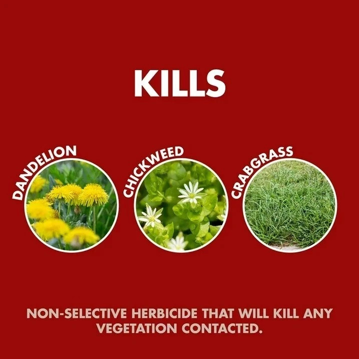 (2 pack) Spectracide Weed and Grass Killer 128 Oz Sprayer Ready-to-use 1 Gallon