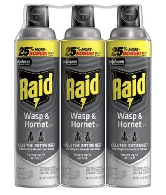 Raid Wasp & Hornet Killer Insecticide Aerosol Spray 17.5 Oz