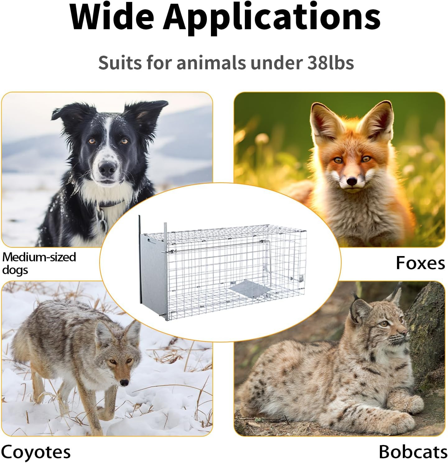 42″ Large Foldable Humane Live Animal Trap Cage | Heavy-Duty Foldable Animal Tra
