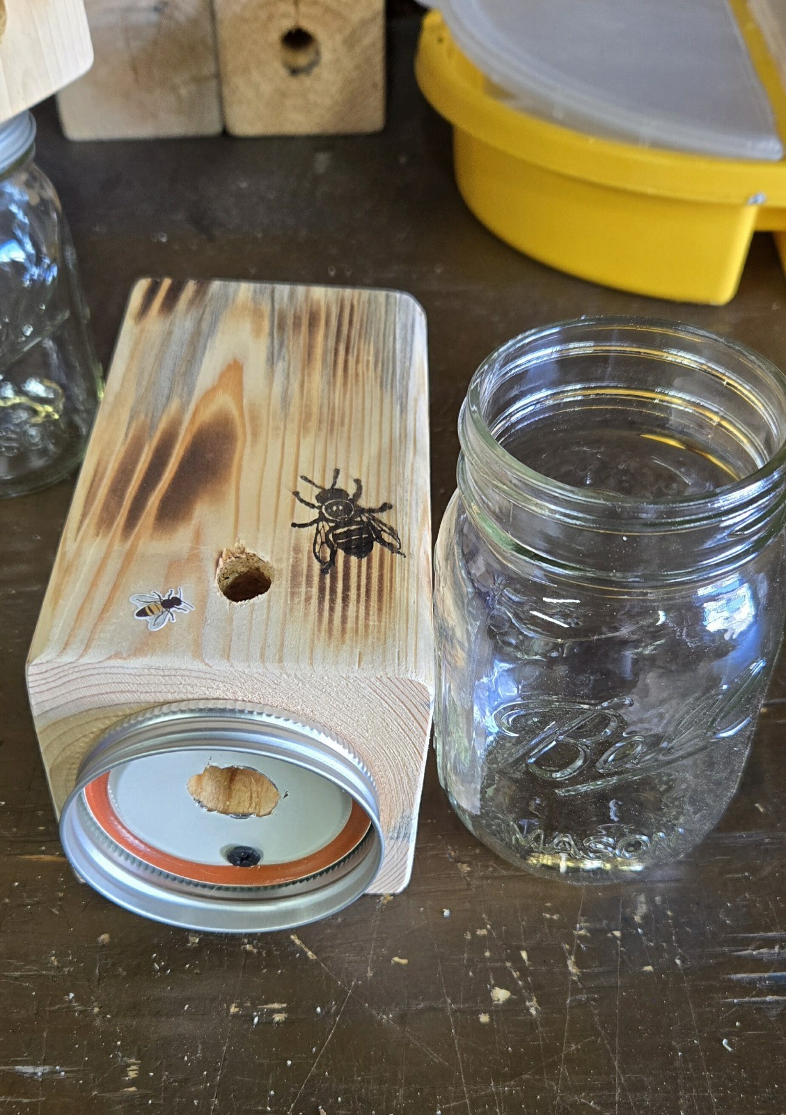 CARPENTER ‘BORE’ BEE TRAPS THAT WORK!