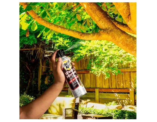 15oz Wasp & Hornet Killer Spray – Instant Knockdown Aerosol Can